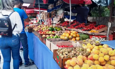 Turismo coloniero «quedó más frío que de costumbre»