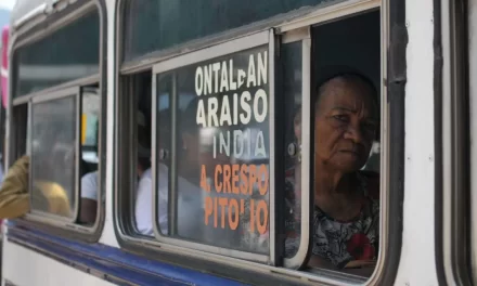 El desafío de movilizarse para usuarios y choferes del transporte público