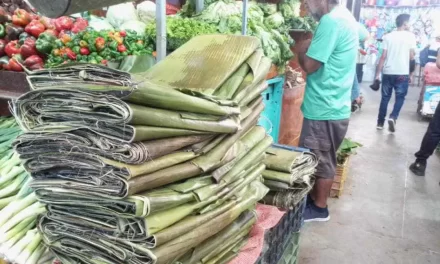 A Bs 20 sube precio de las hojas de hallacas en víspera de Navidad