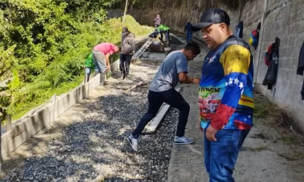 Reparan vialidad agrícola en la Colonia Tovar