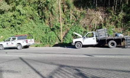 🚨 ¡Accidente en El Junquito! Vehículo de carga pierde el control y termina encunetado 🚛⚠️