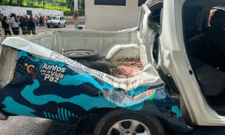 Trágico Incidente en El Junquito: Detective del Cicpc Muere al Caer un Árbol sobre su Patrulla